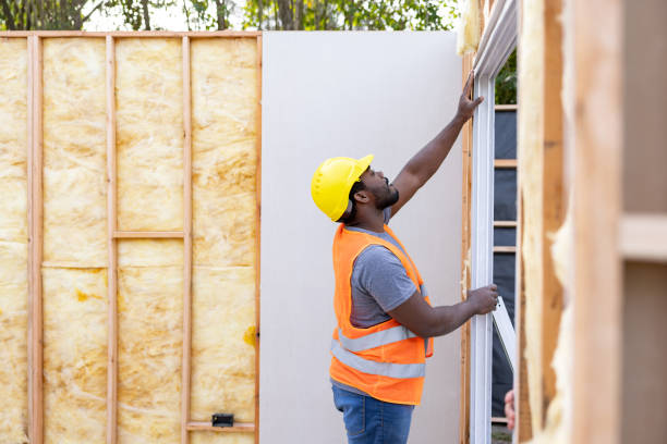 Best Insulation Replacement Services  in Mccordsville, IN